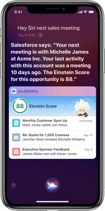 Hey Siri example in Salesforce Mobile app.